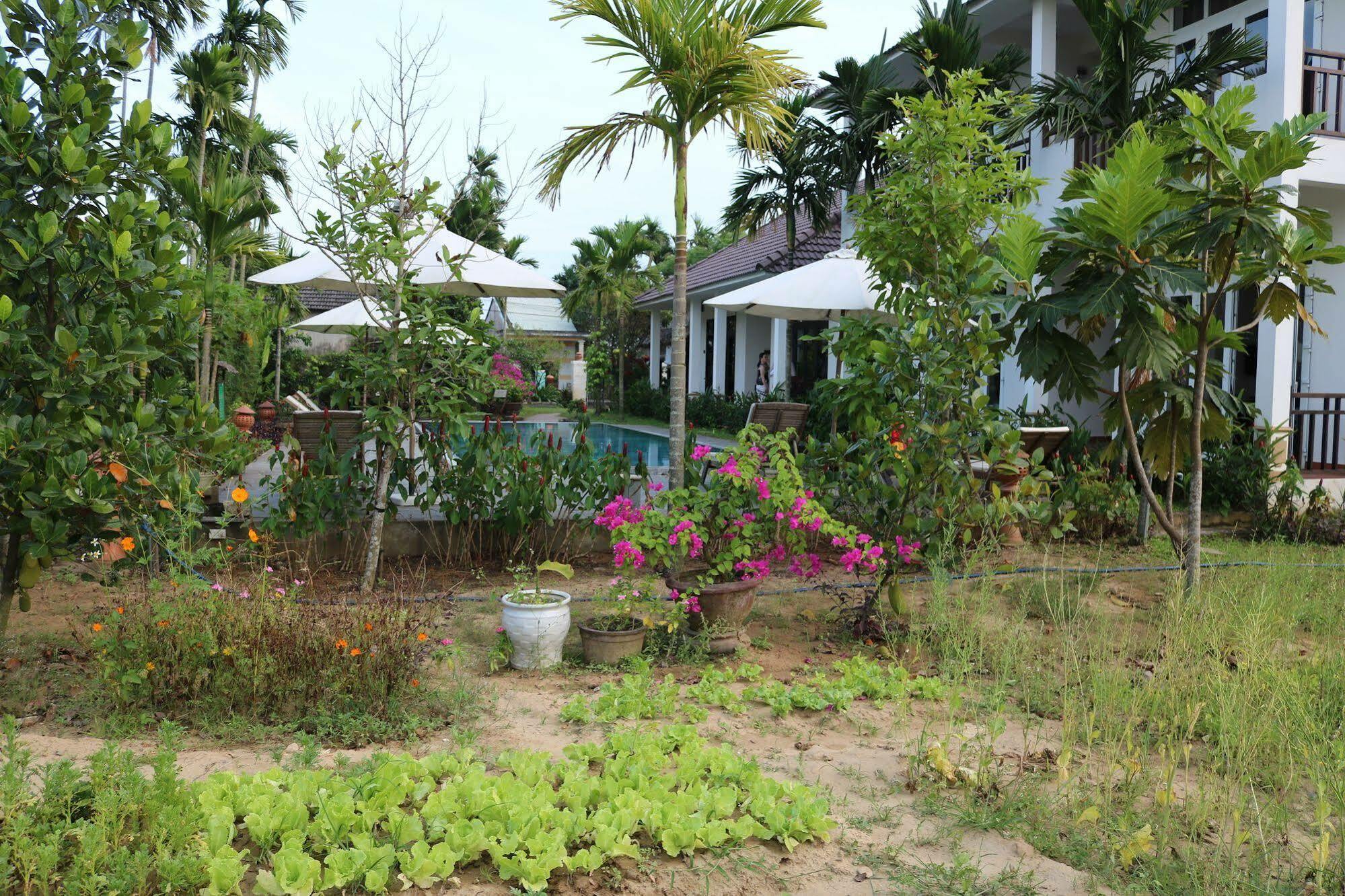 Green Areca Villa Hội An Kültér fotó